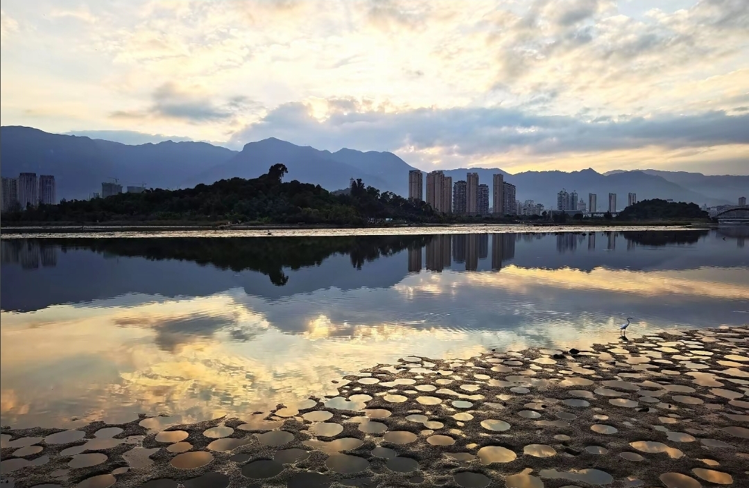 爱上不该爱的人怎么办？