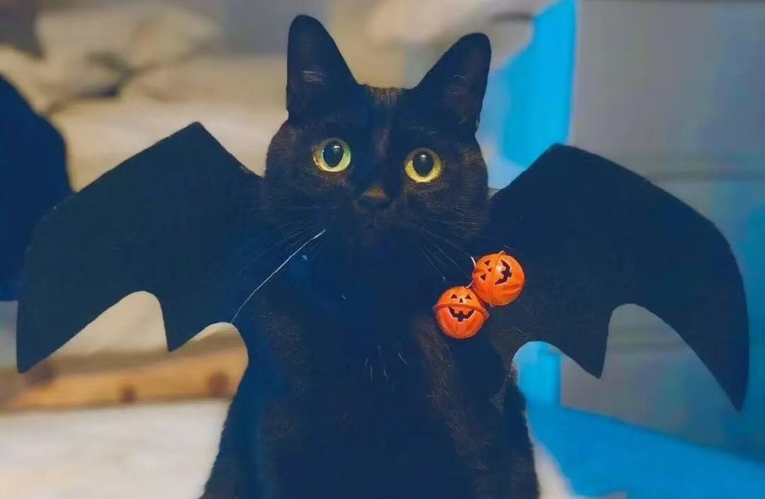 思维转弯，心境换挡；种下积极，收获平和。