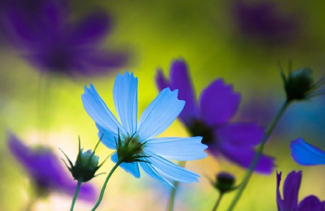 长期压力下如何调整状态？