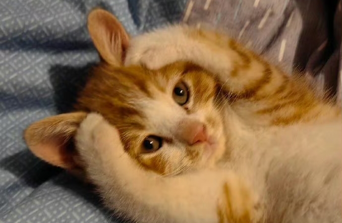 职场社交边界：不是冷漠，是筛选后的深耕