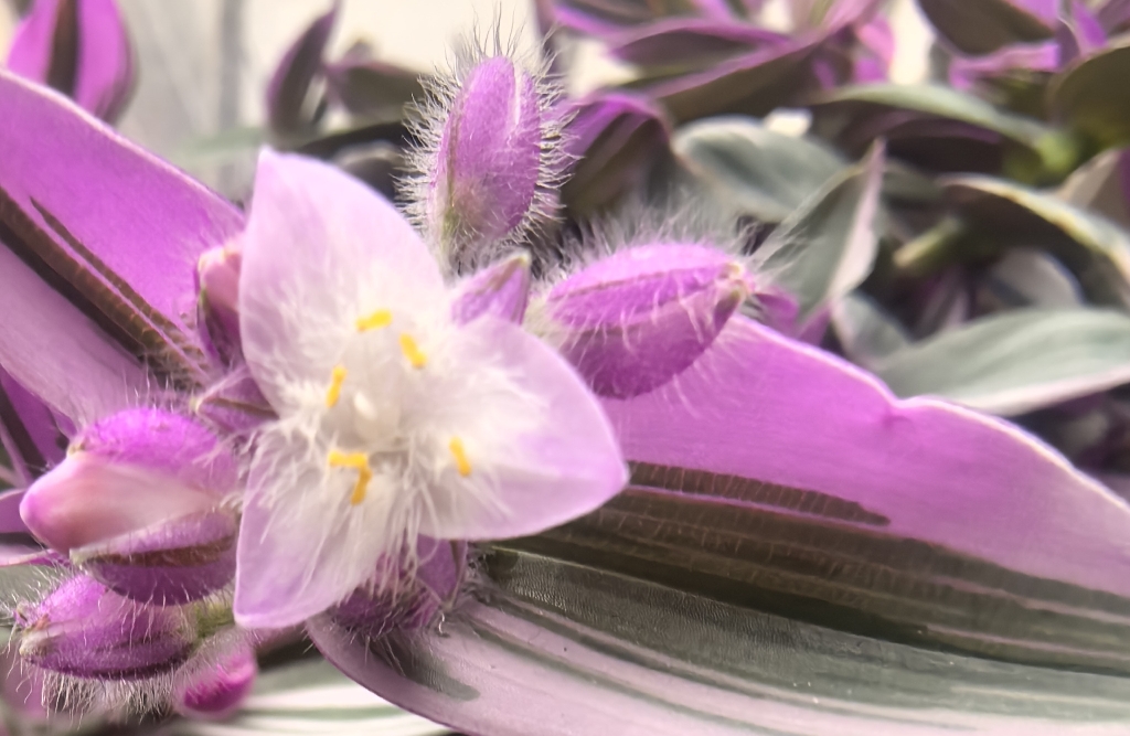 共情视角：换位思考