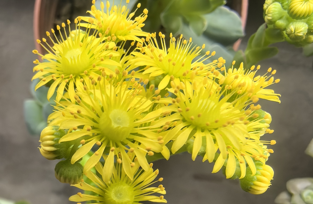 情绪价值拉满：如何把天聊进对方心坎里？