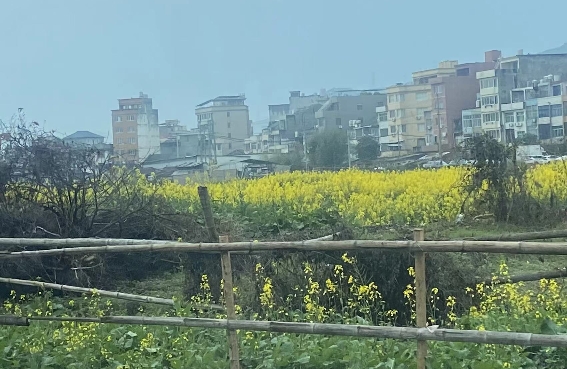 每天坚持这几件小事，婚姻会越过越顺、越走越甜