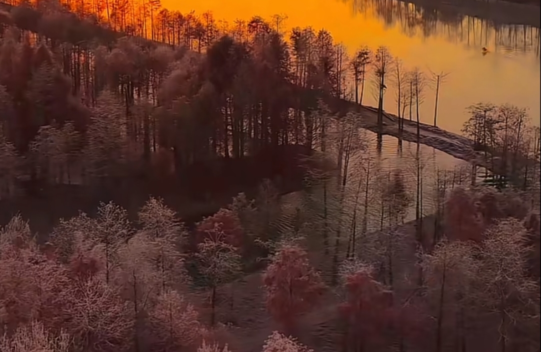 如何避免成为“烂好人”？