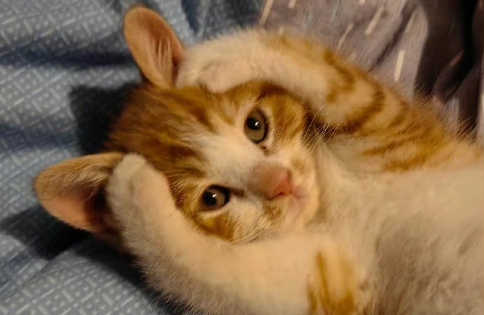 暗夜行路者，终见晨曦