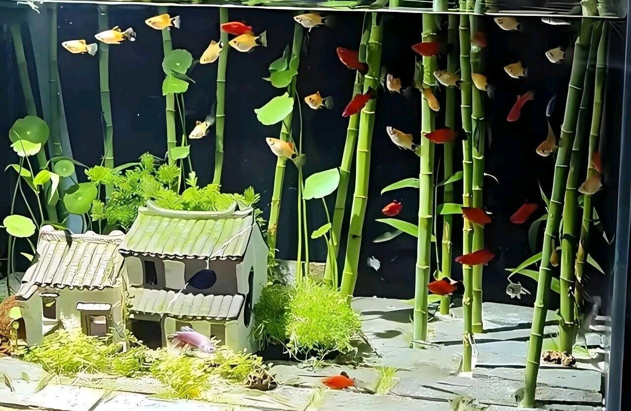 自我接纳：不是躺平，而是不再与真实的自己为敌