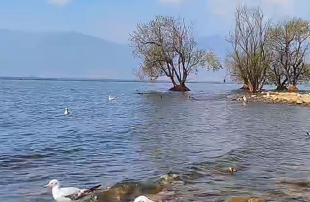 什么是“沉没成本”？