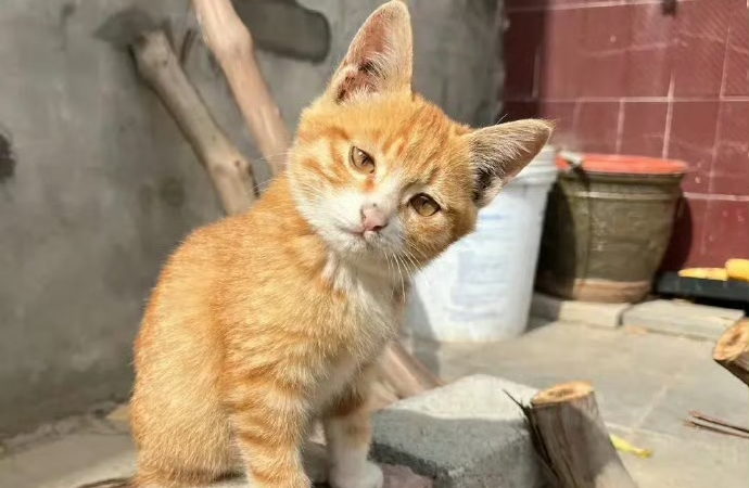 婚姻失温预警：从无话不说到无话可说