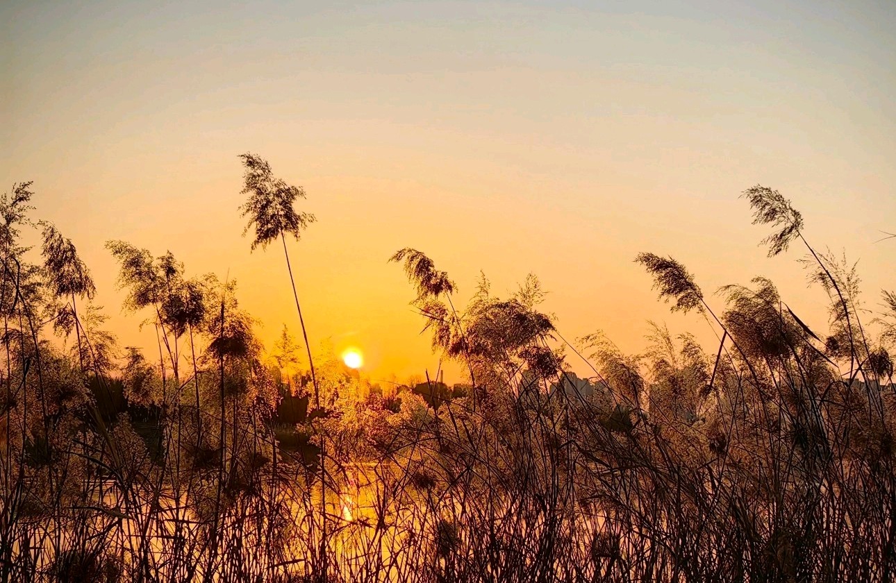 如何优雅地拒绝同事的“甩锅”请求，还不伤和气？