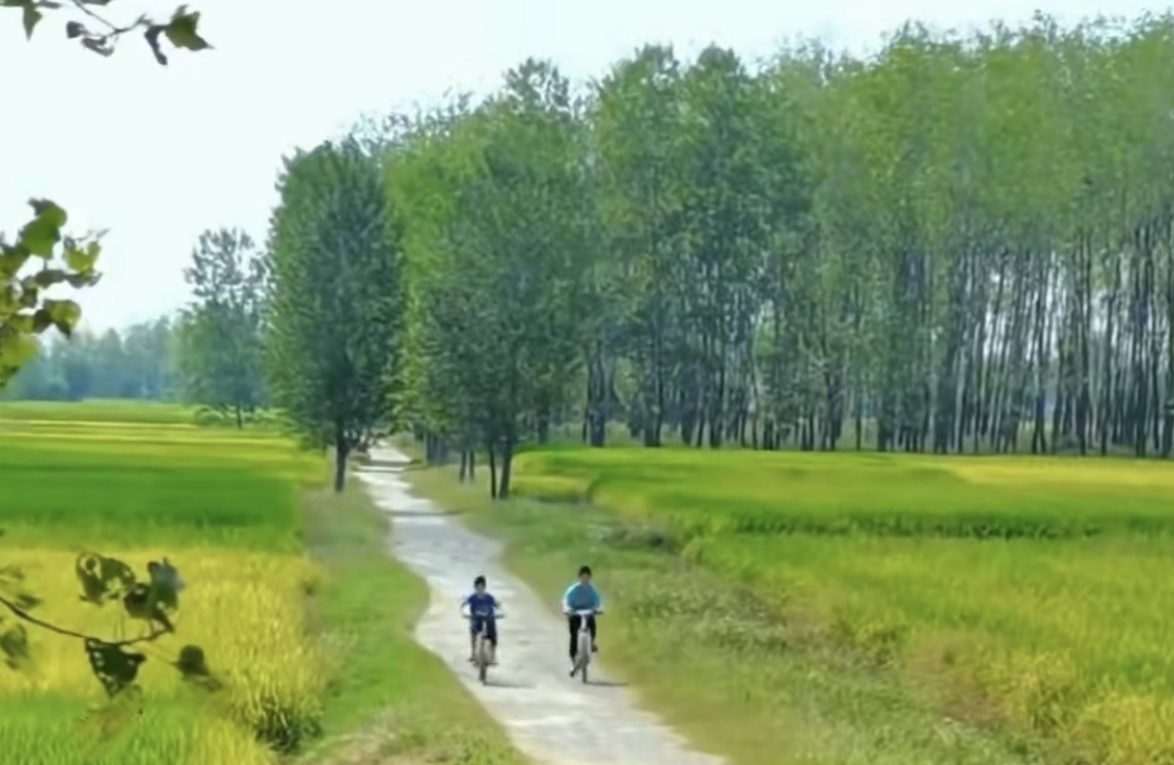 和别人聊天其实没有那么难