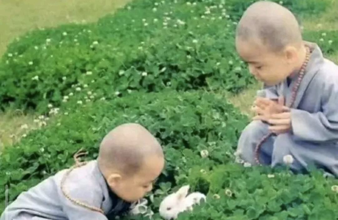 自恋型人格自救法，如何重启人生