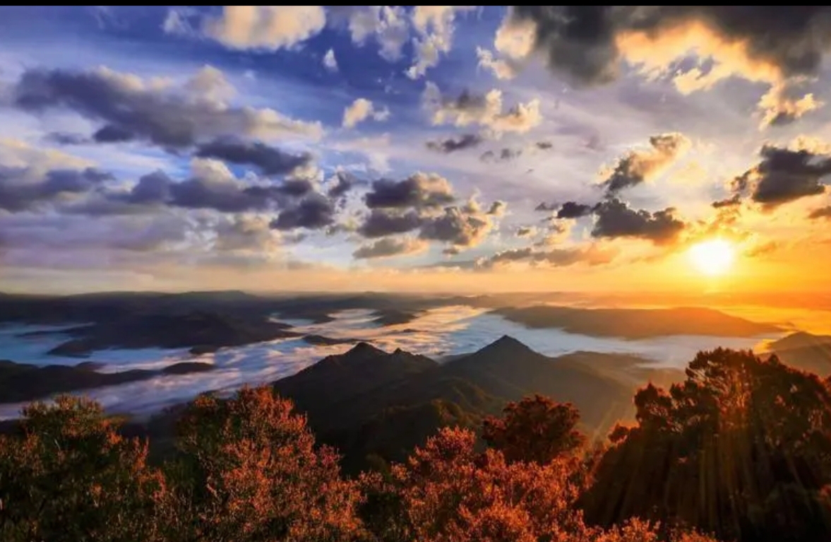 异地恋挽回清晰操作步骤