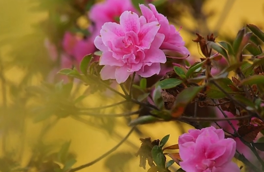 如何修复关系？