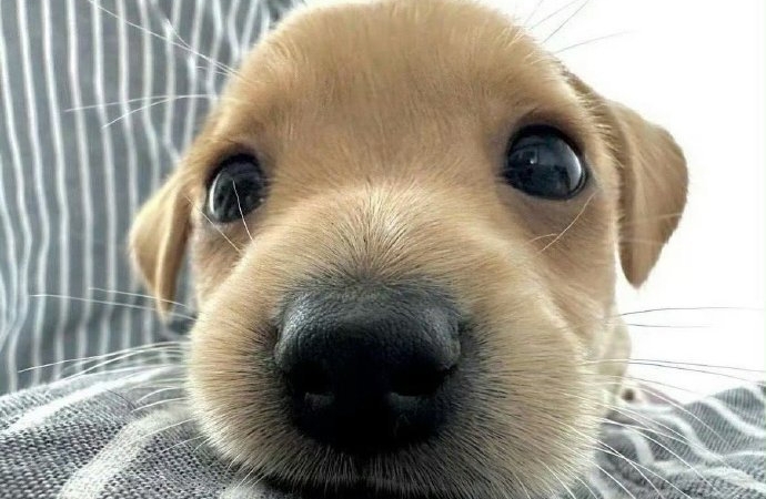 脑内演千百遍，不如脚下迈一步：行动力破局指南