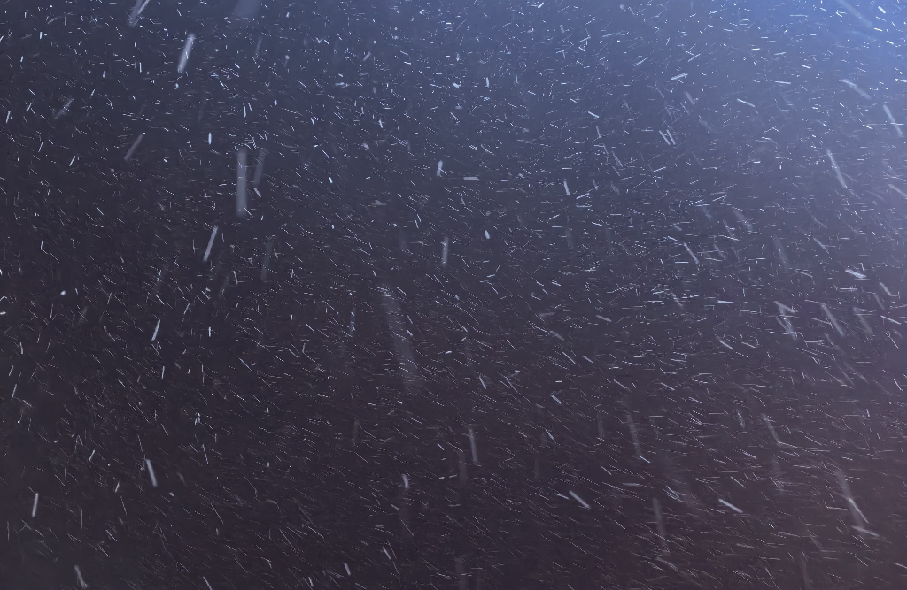 怎么更好的对待恢复单身的自己？—女神节快乐！