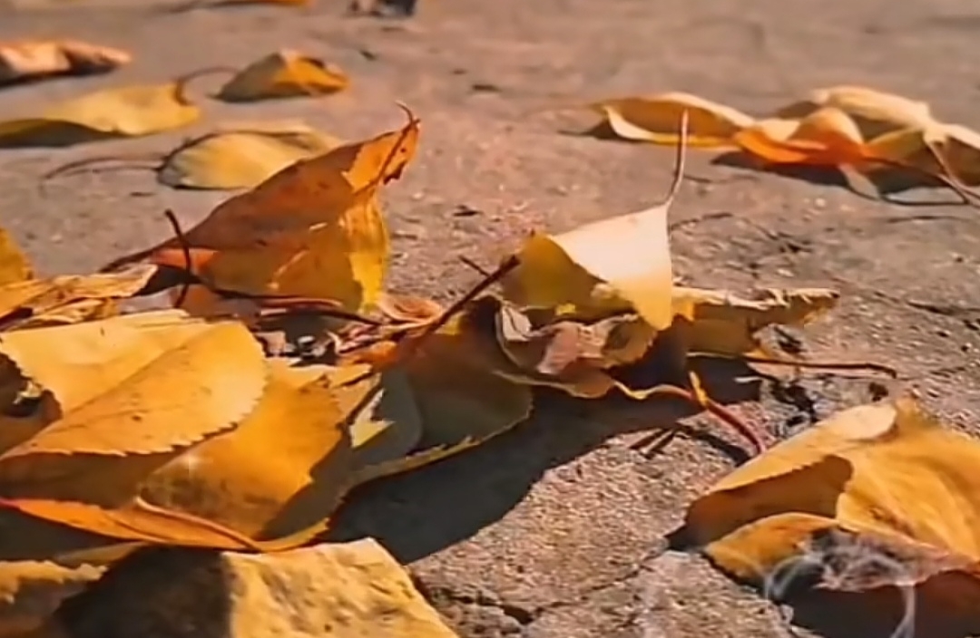 为什么伴侣接不住我们的情绪？