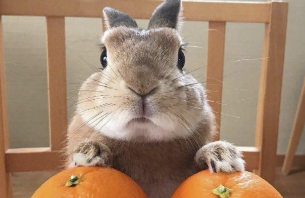 如何走出无力改变的困境