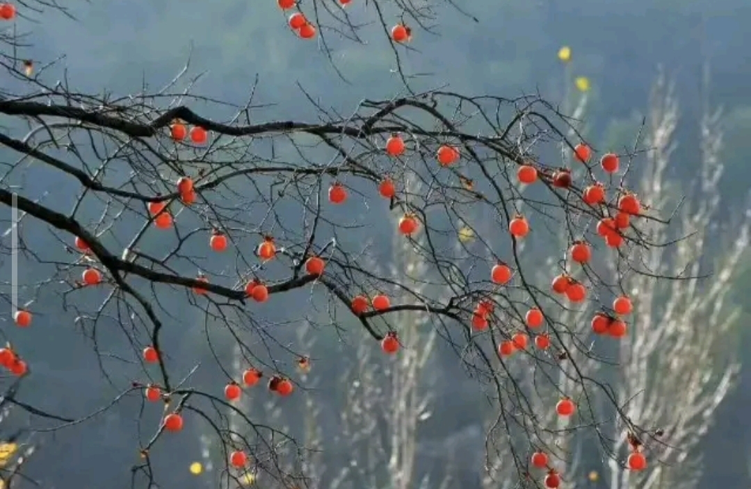 如何释放自己的压力和坏情绪