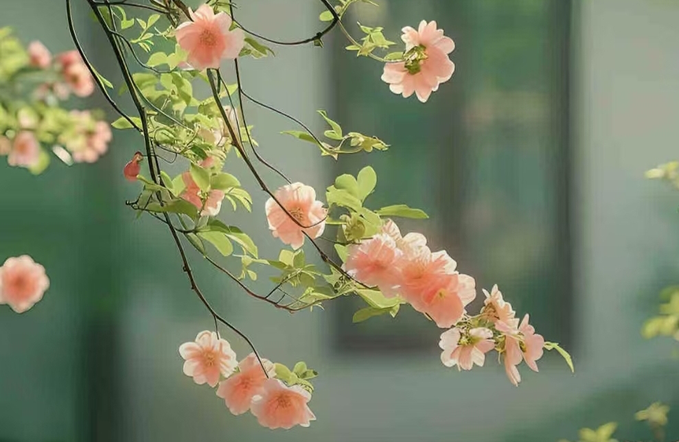 倾听也是一种智慧，面对不同来人的倾诉不容易