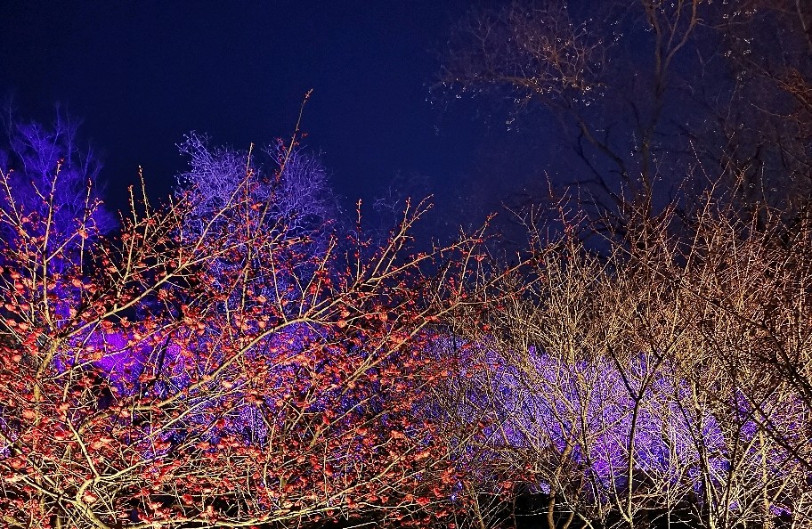 通过心理健康调整性格