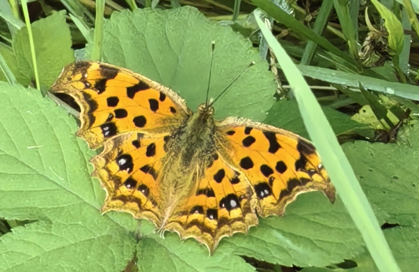 人到中年，还有激情吗？