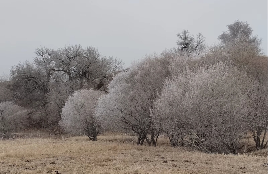 “破窗效应”如何影响关系恢复？