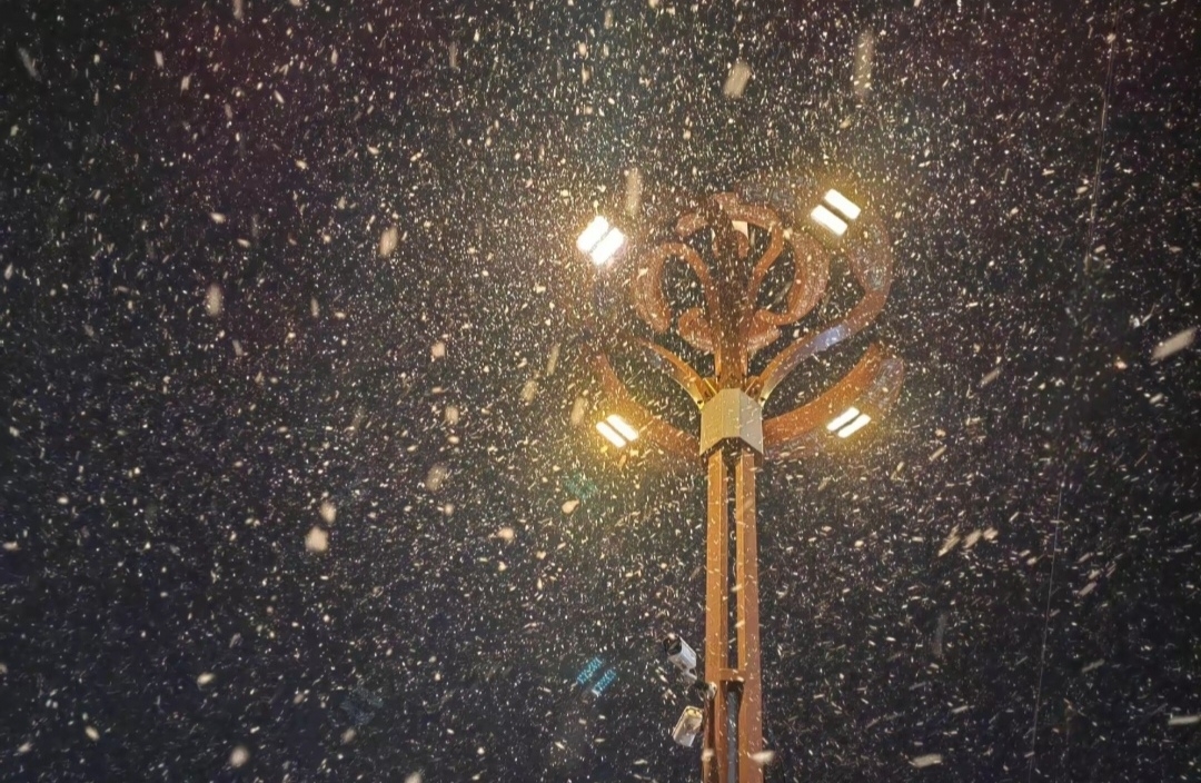 什么是“恋母情结”？