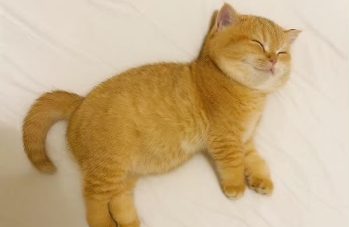 别忍也别爆：烦躁时的科学急救手册