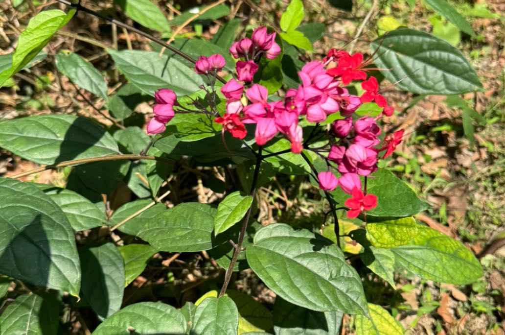 遇到磨人的冷暴力，该怎么办？