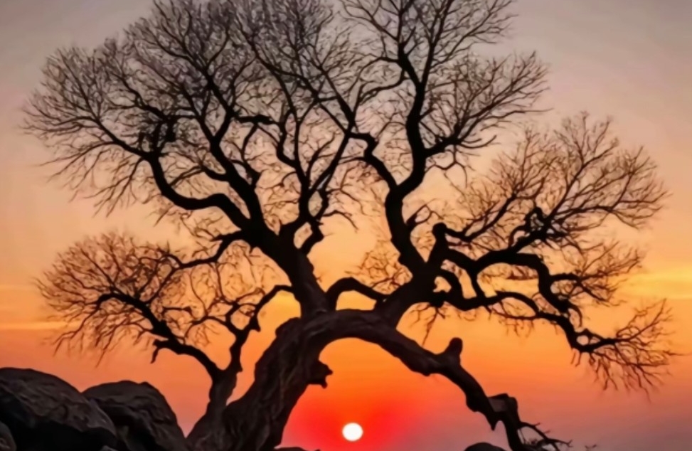 实用解决失眠的好方法