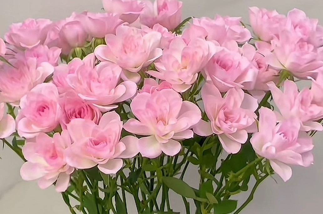 长期亲密关系的底层逻辑：关系经营的核心法则