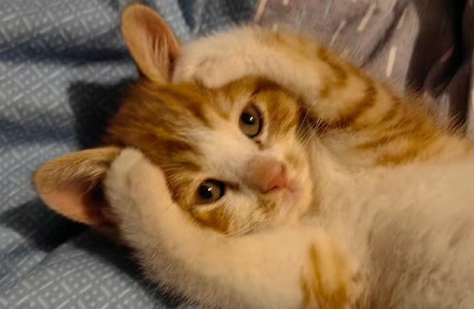 把'异地'过成'诗意'：四个可操作的安全感来源