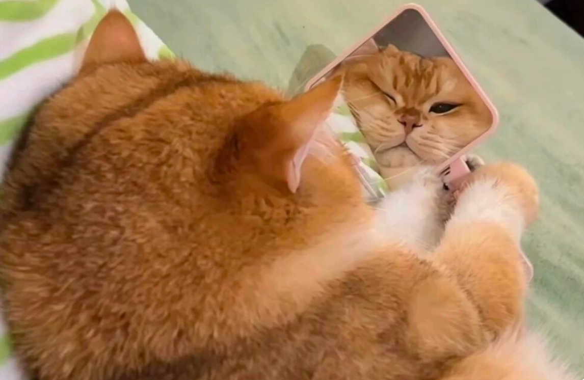 如何走出无力改变的困境