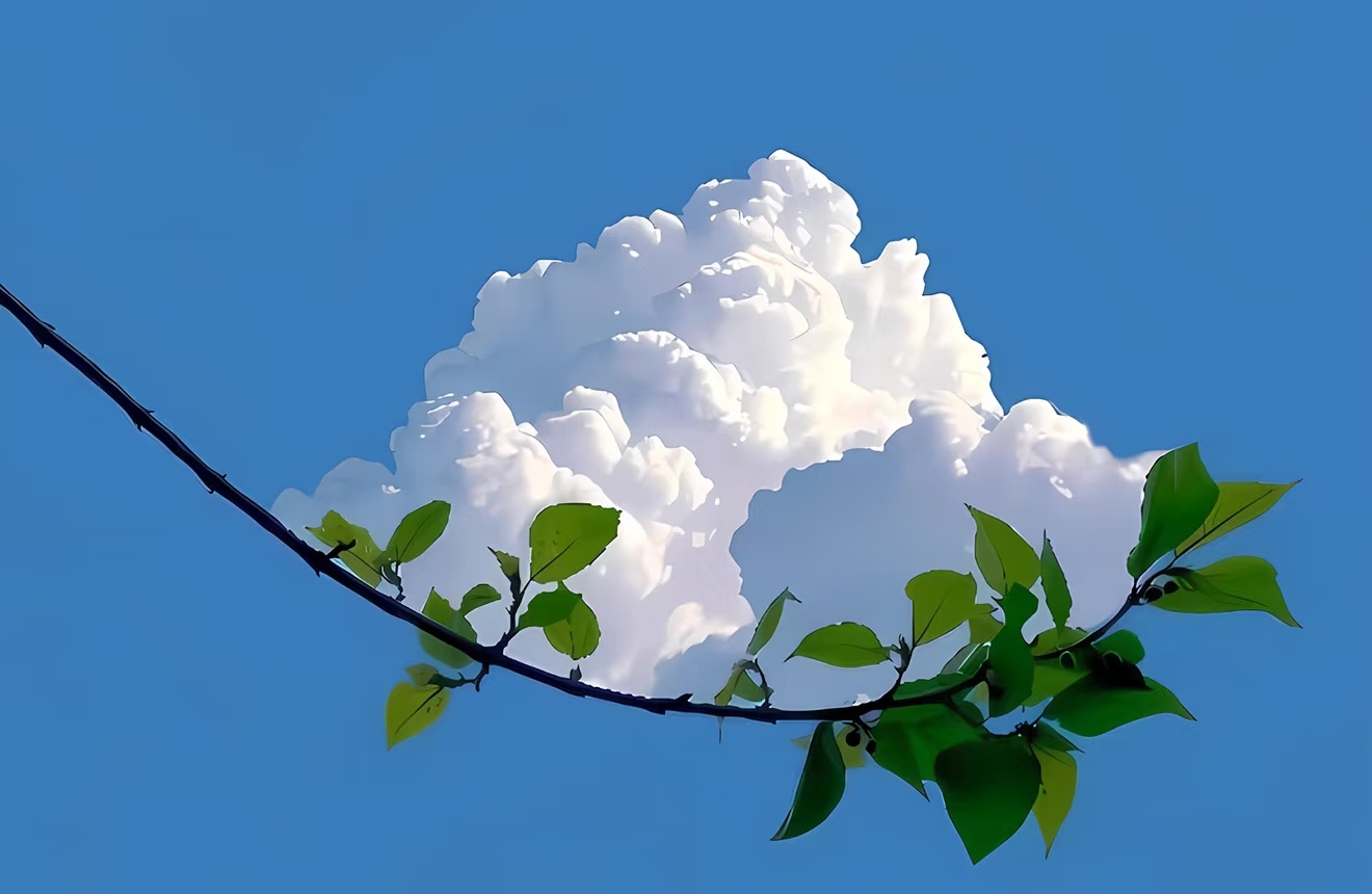 感到很虚无怎么办？