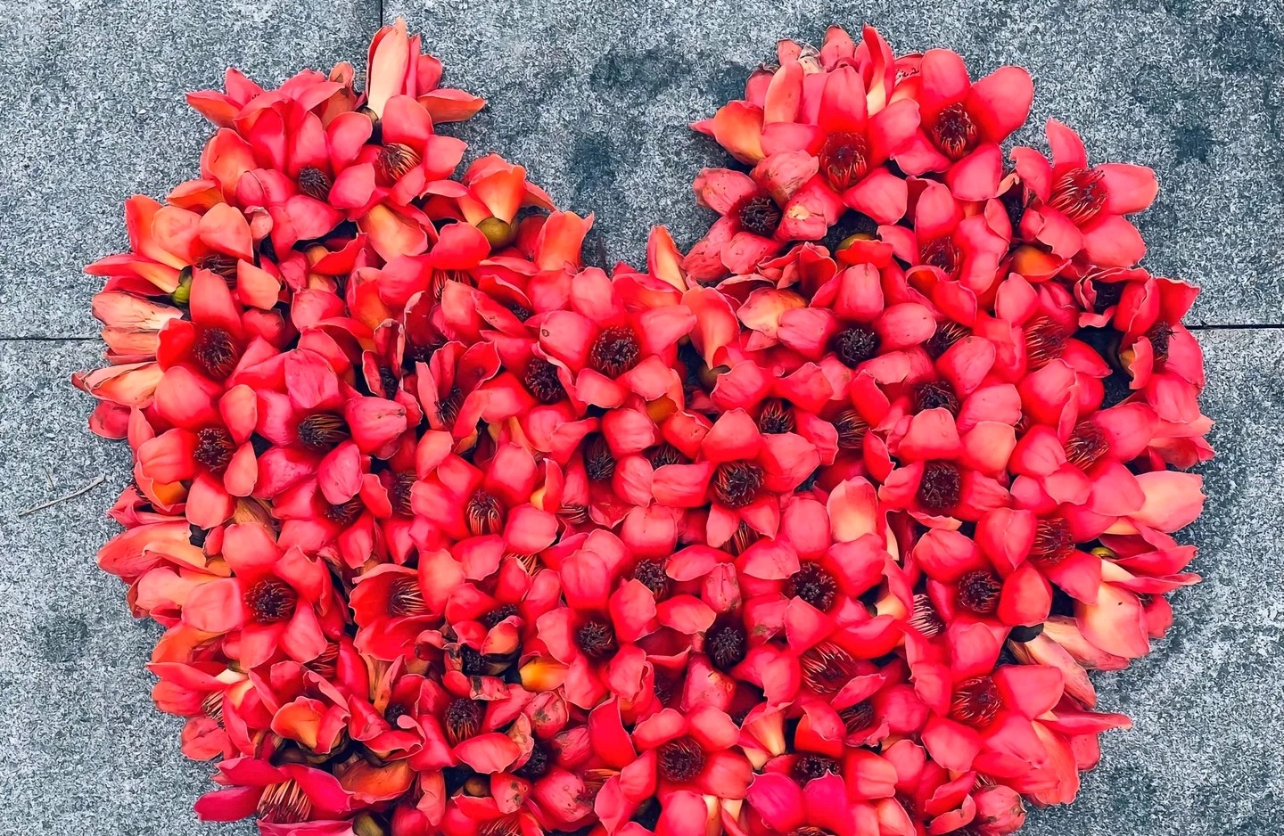 周末夫妻：此情若是久长时  又岂在朝朝暮暮