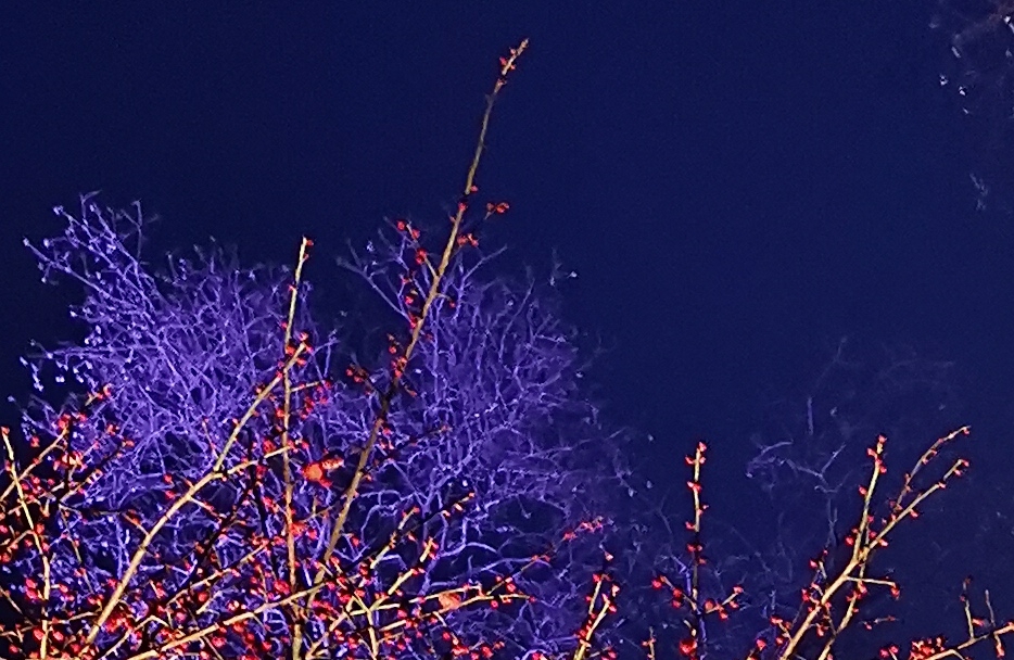 “空心人”的核心特征