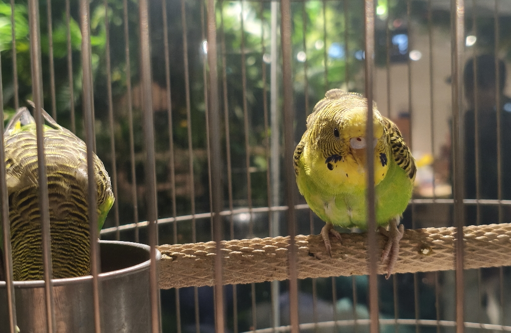 别再盲目挽回：情感修复的底层逻辑