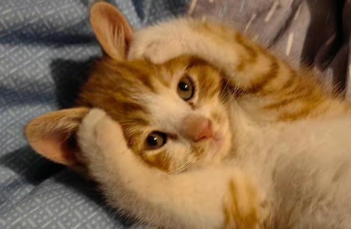 缺爱的人给不出爱，充盈者才懂分享