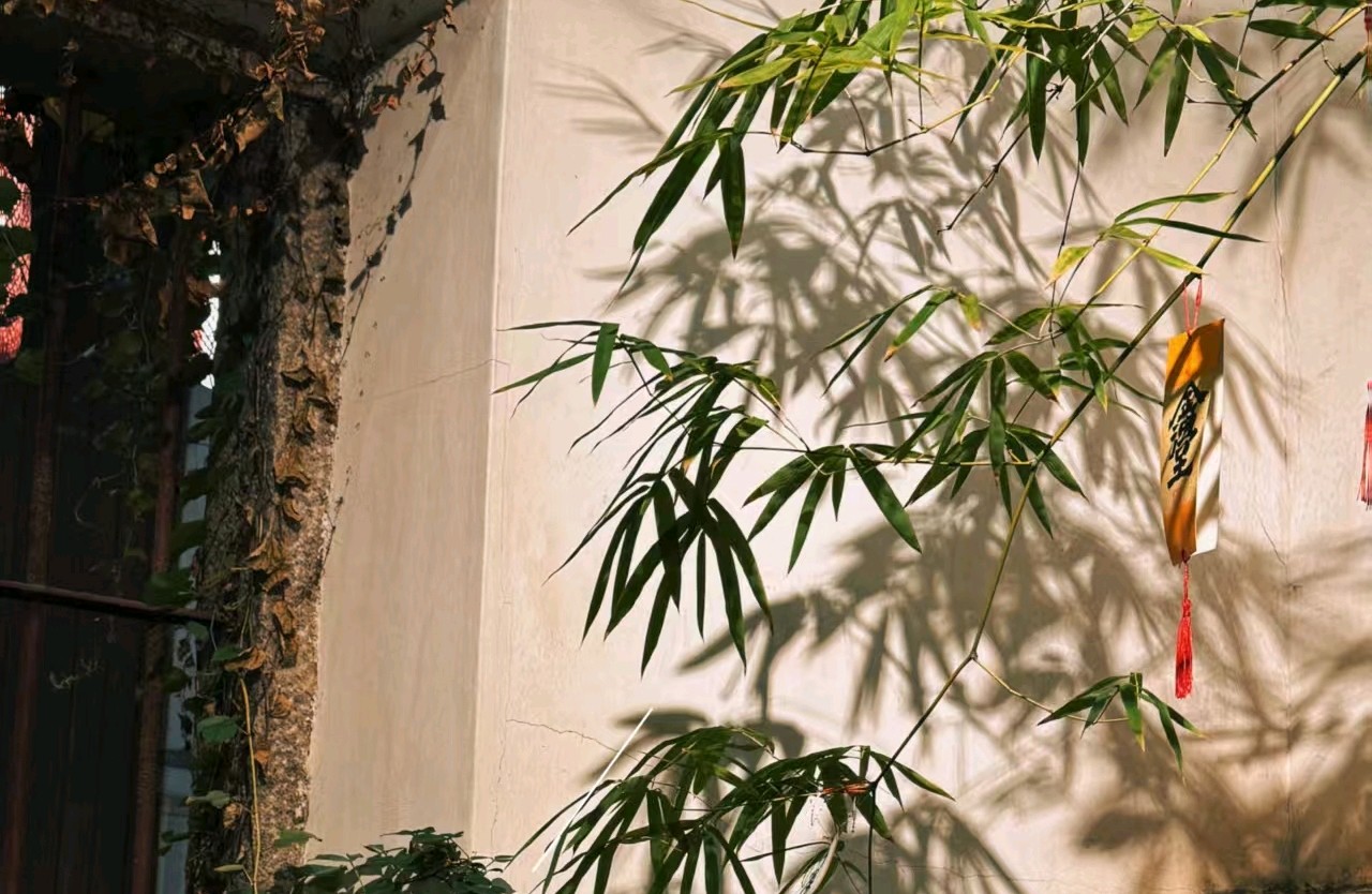 如何减少恋爱过度依赖的小tips