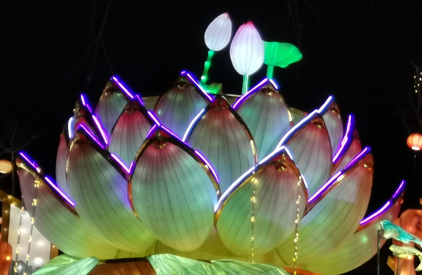 精神觉醒的常见迹象