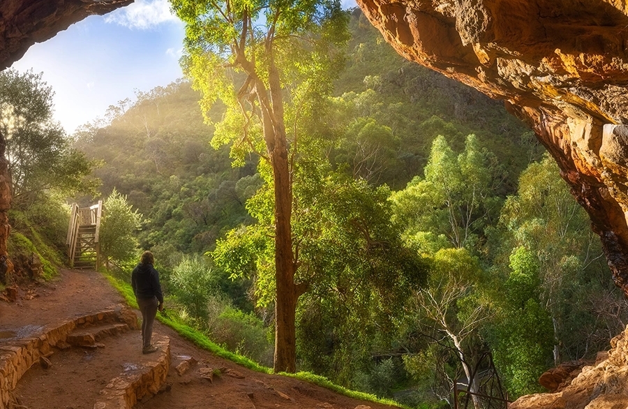 你为什么总在关系里越爱越怕｜五步走出内耗