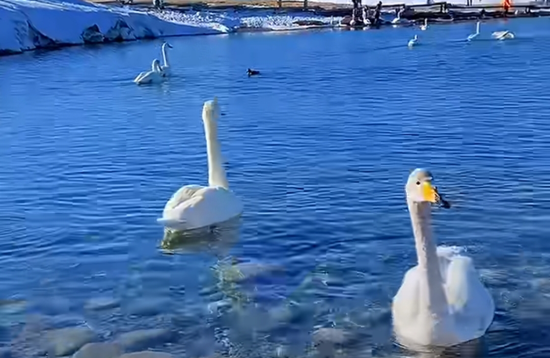 在亲密关系中，什么是避免关系疲惫的关键？