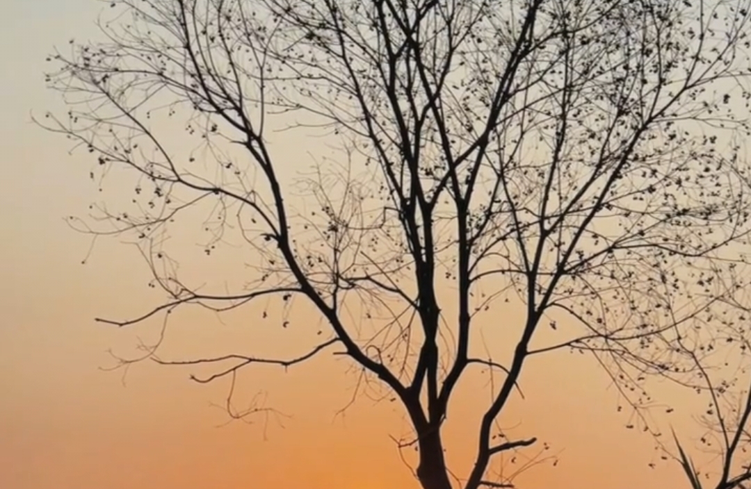 情感隔离对人际会产生什么样的影响？