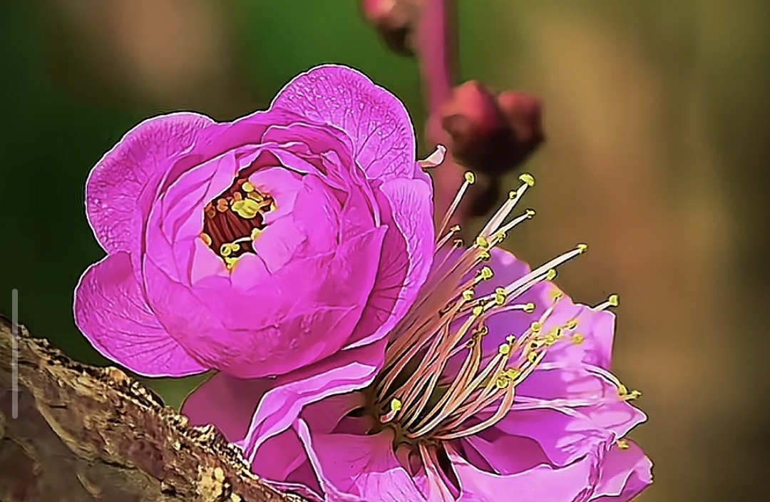 真正的门当户对：不是钱，是三观一致，情绪稳定双方的理解和善良