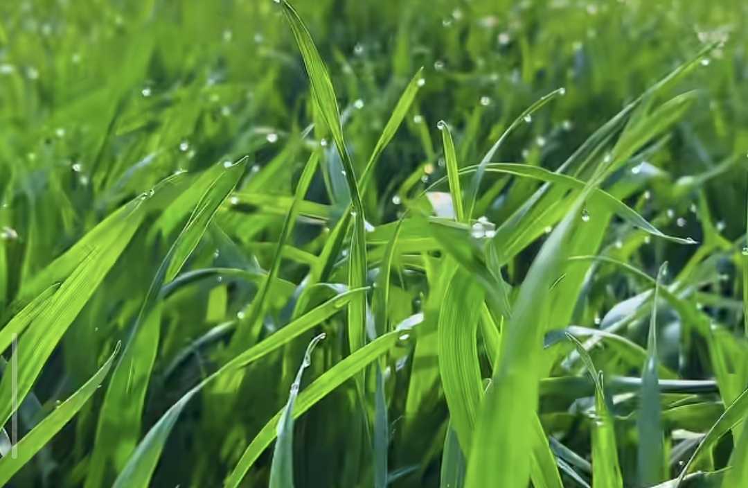 姐弟恋如何幸福相处4个小步骤