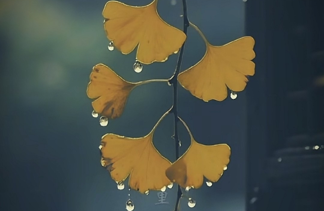 中年职场不内耗，不讨好，不硬杠，刚才是最高级的生存智慧