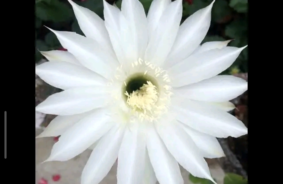 遭遇背叛如何应对？