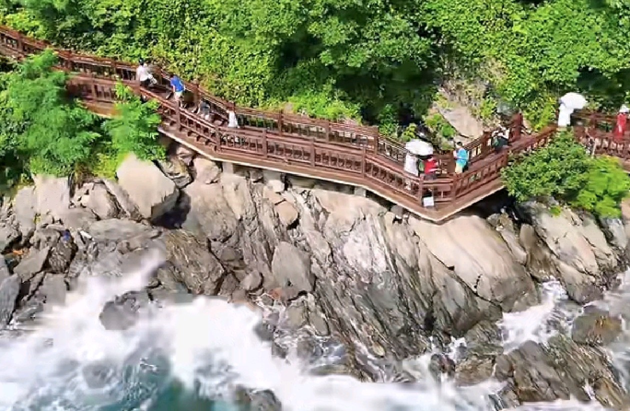 缓解身心分离：把心，一点点带回身体里