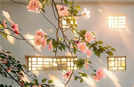 情绪突然崩溃？3步快速稳定