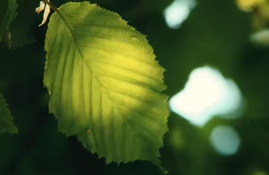 抑郁的根源是什么？